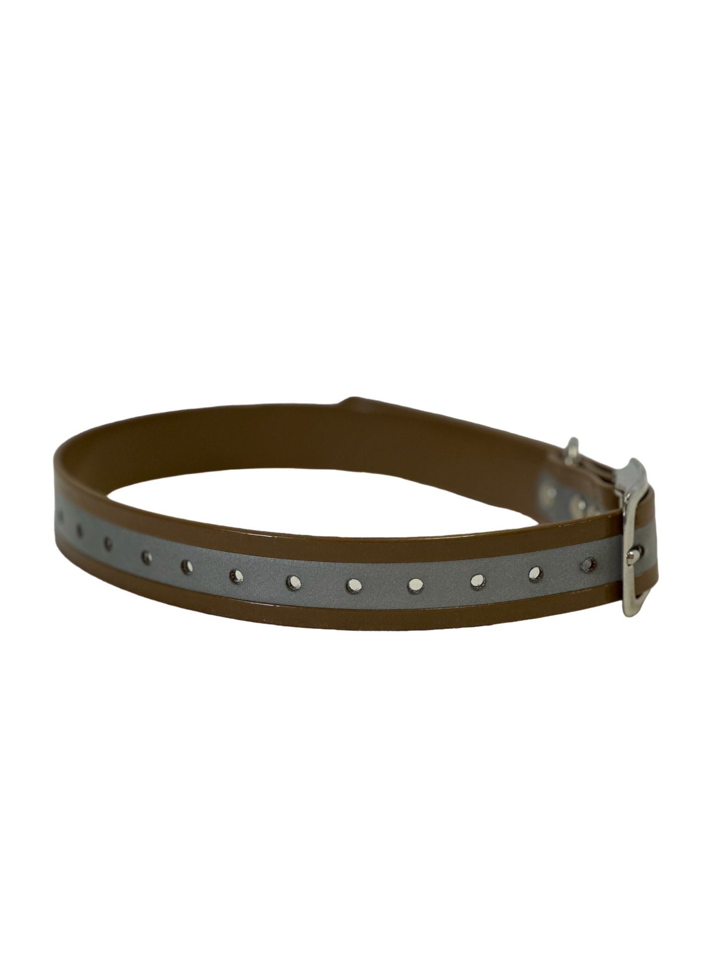 1''DayGlo Reflective Collar