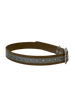 1''DayGlo Reflective Collar