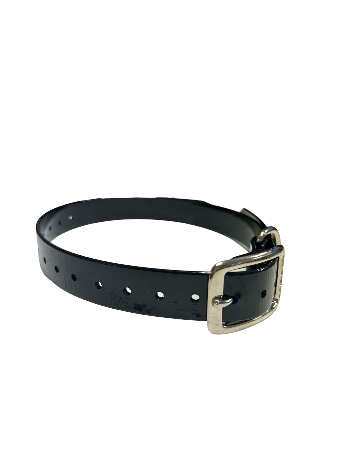 1" Dayglo Center Ring DIF 20" Collar