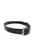 1" Dayglo Center Ring DIF 20" Collar