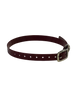 1" Dayglo Center Ring DIF 20" Collar