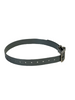 1" Dayglo  20" Collar