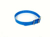 1" Dayglo Center Ring DIF 20" Collar