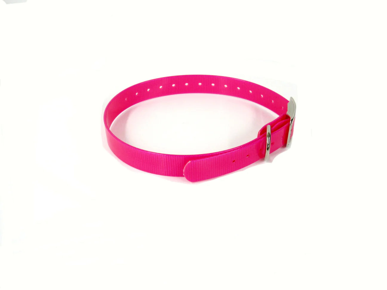 1" Dayglo Center Ring DIF 20" Collar