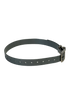1" Dayglo Center Ring DIF 20" Collar