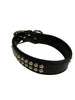 1 1/2" Leather Collar with brass spots 20"