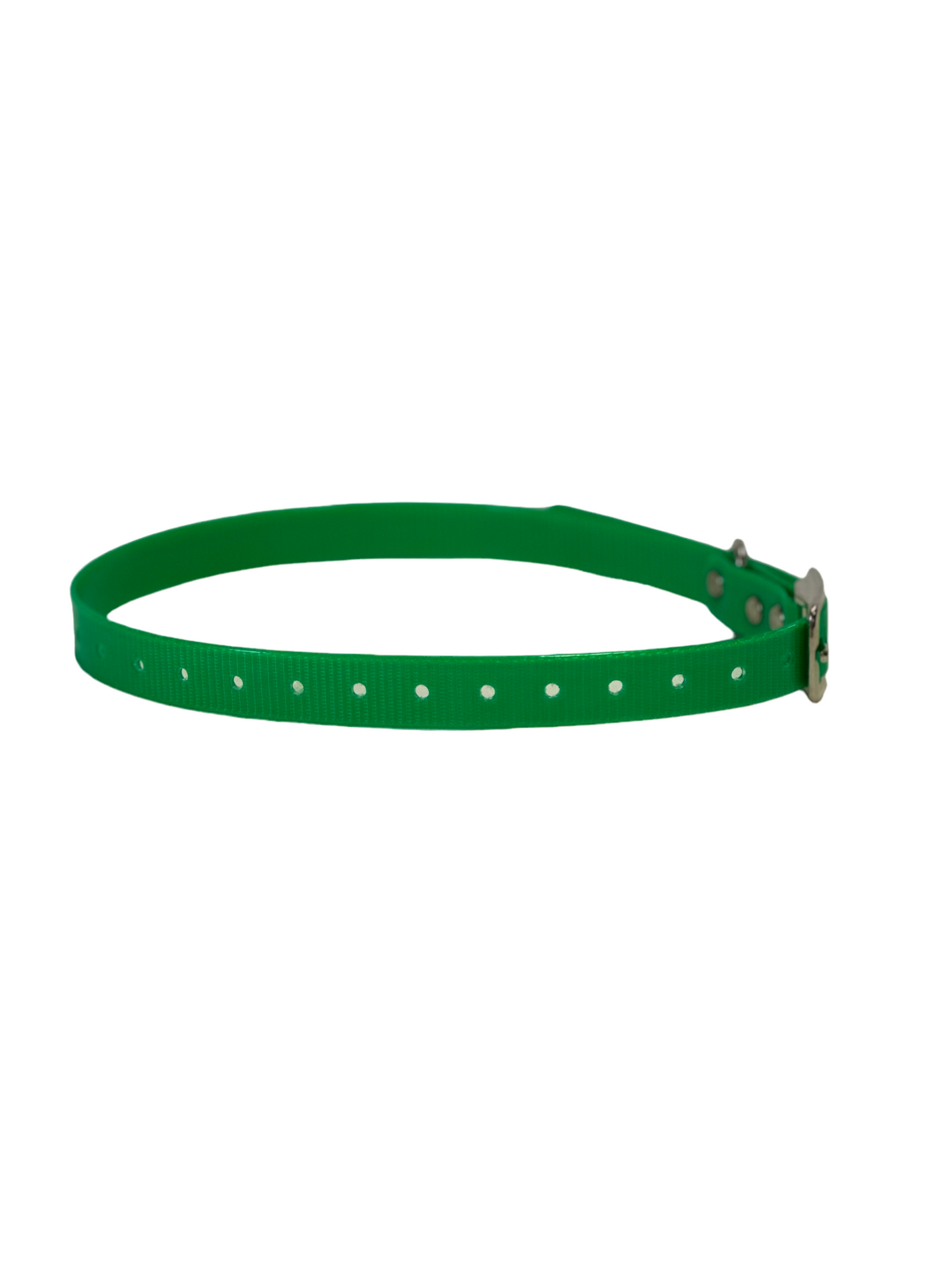 1" Dayglo  20" Collar-Black Hardware