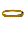 1" Dayglo Center Ring DIF 20" Collar