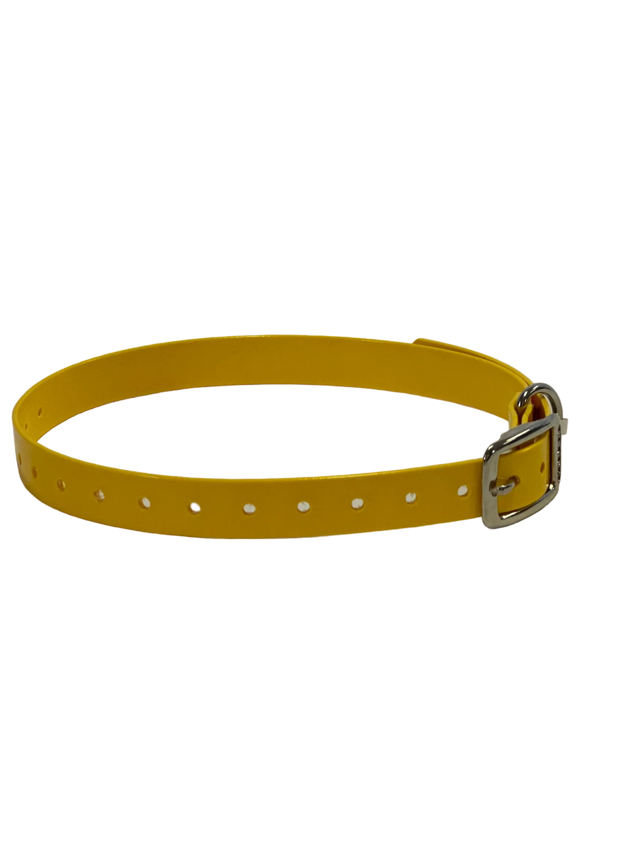 3/4" Dayglo DIF 16" Collar