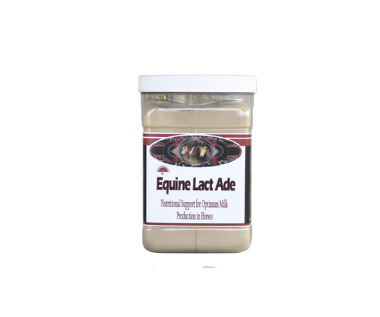 Equine Lactade