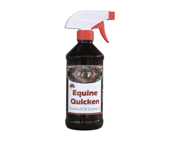 Equine Liniment Quicken