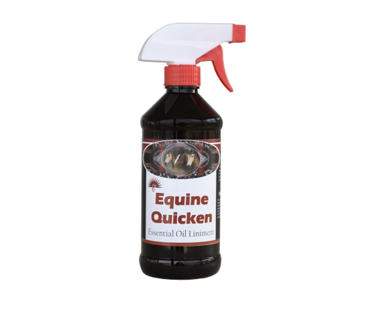Equine Liniment Quicken