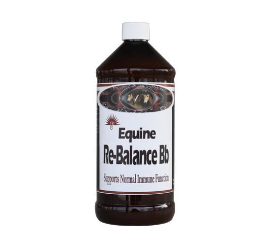 Equine Re-balance