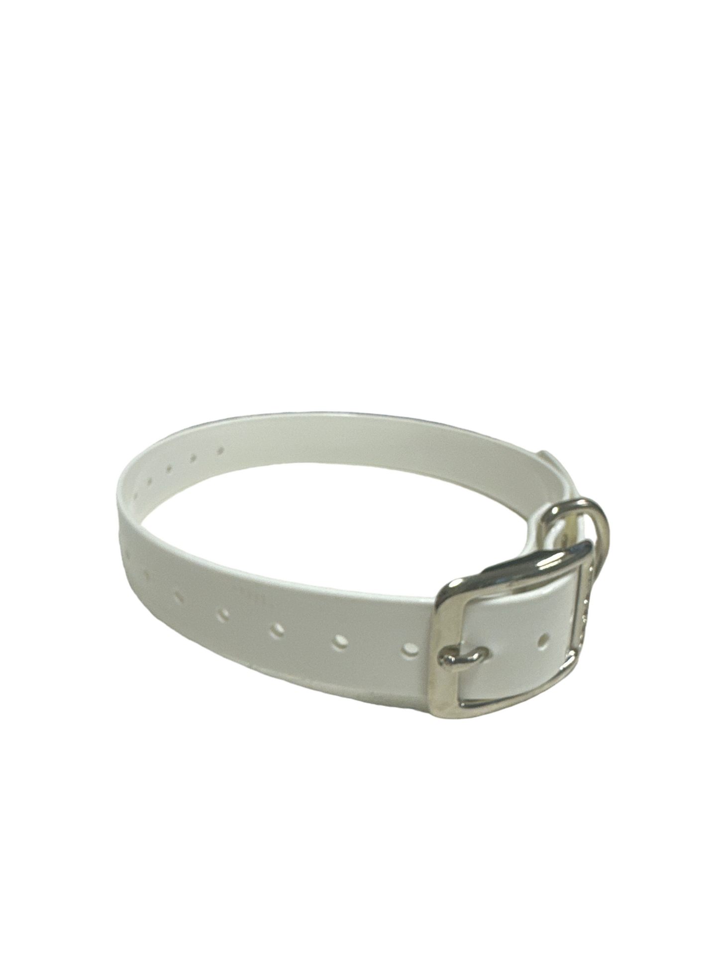 1" Dayglo  20" Collar-Black Hardware