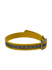 1''DayGlo Reflective Collar