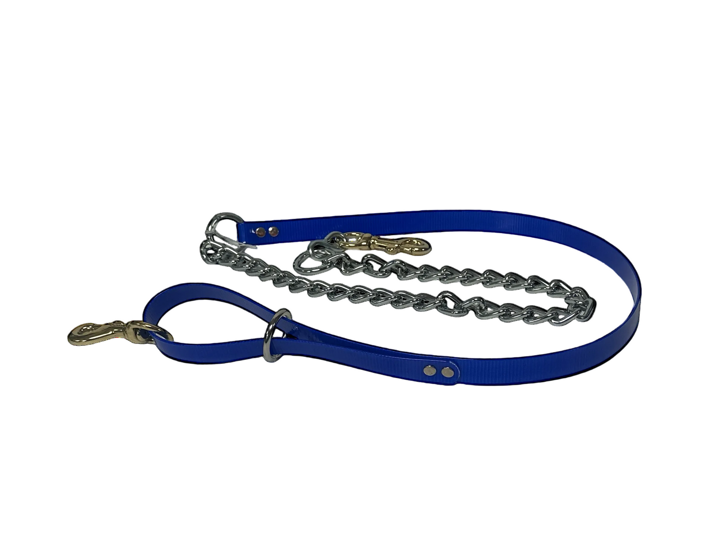 3/4 '' DayGlo Leash w/ Chain