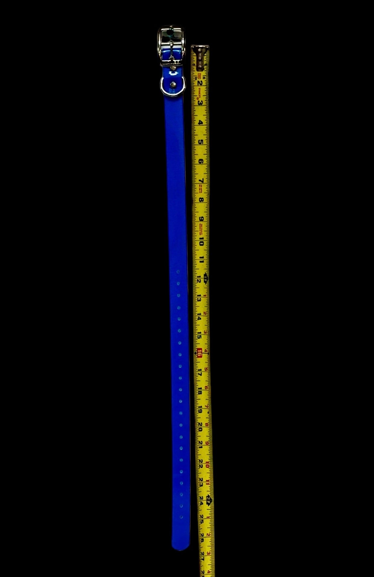 1'' DayGlo Collar