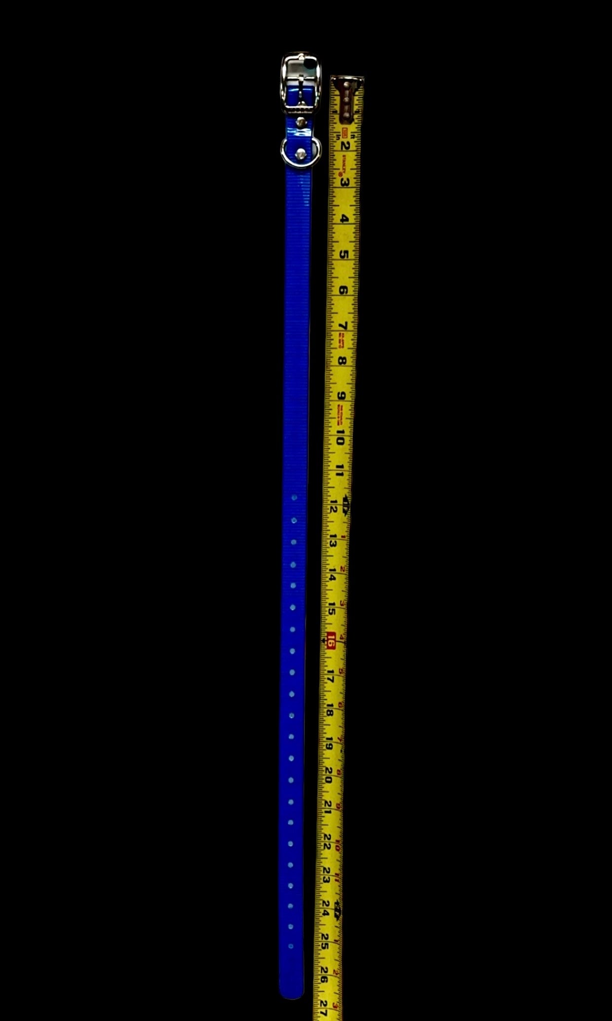 3/4" Dayglo Collar