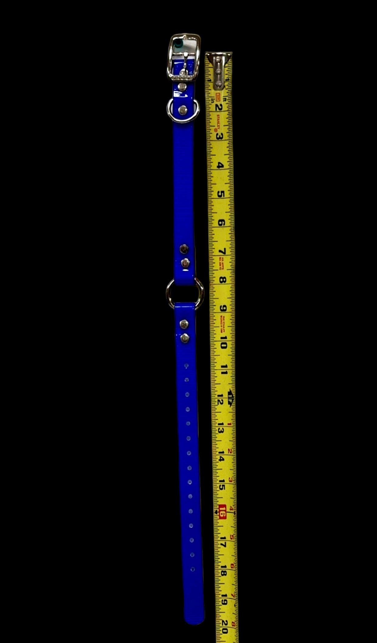 3/4'' DayGlo Collar w Center Ring
