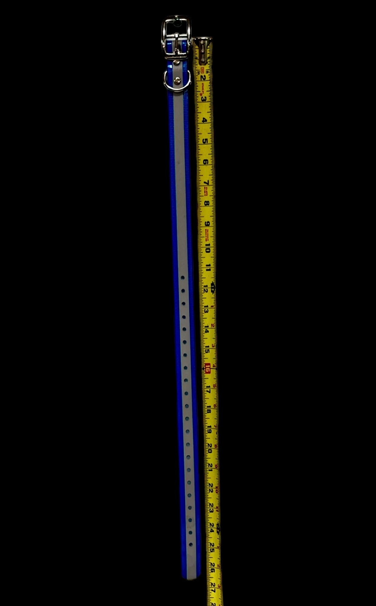 1''DayGlo Reflective Collar