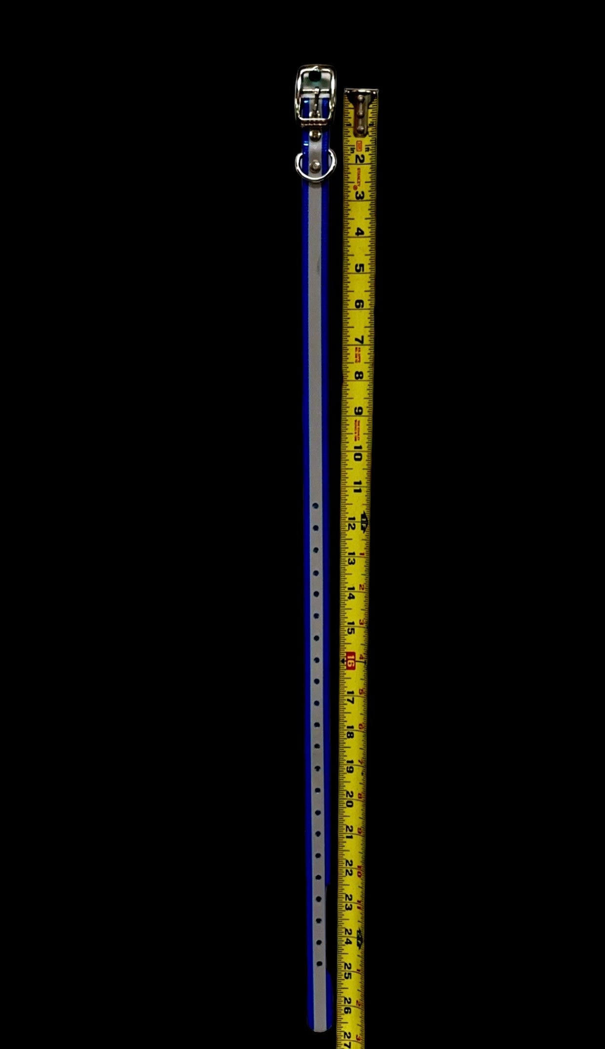 3/4'' Dayglo Reflective  Collar
