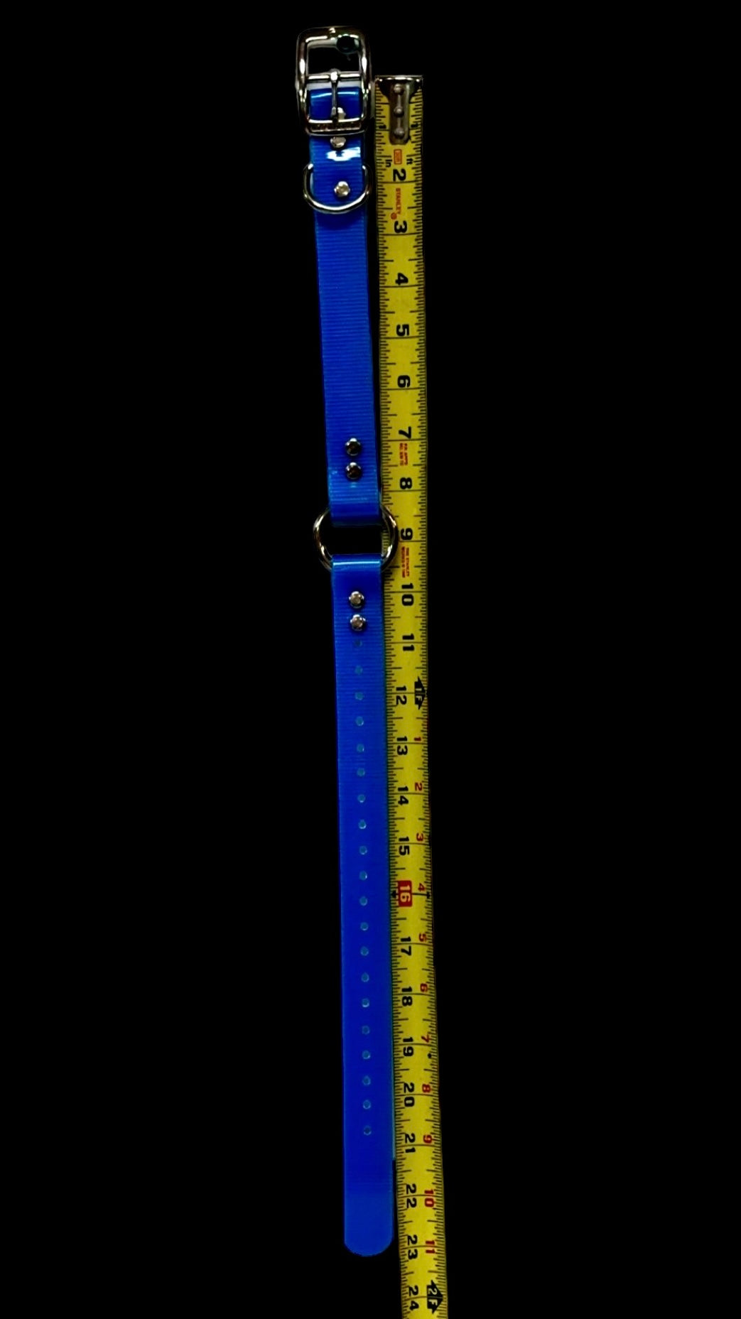 1'' Dayglo Collar w Center Ring