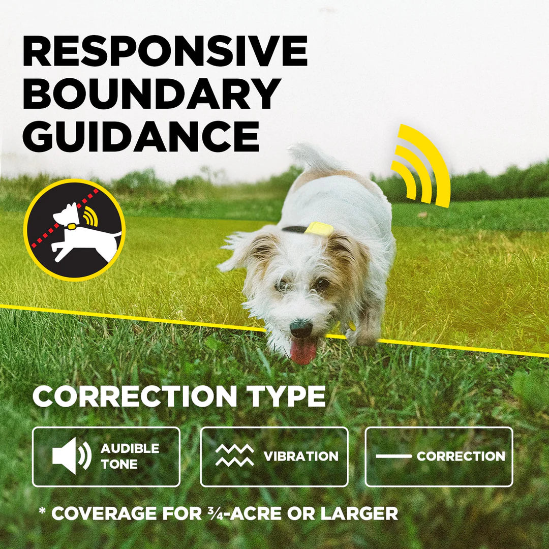 Dogtra GPS Fence