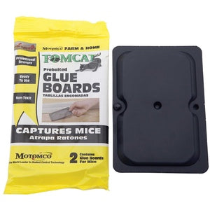 Tom cat Mouse Glue Board