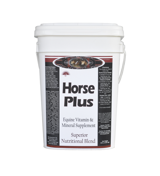 Horse Plus
