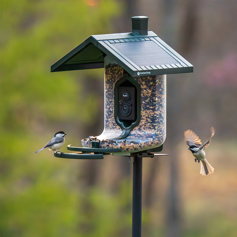 FeatherSnap Scout-WiFi Solar Power Bird Feeder