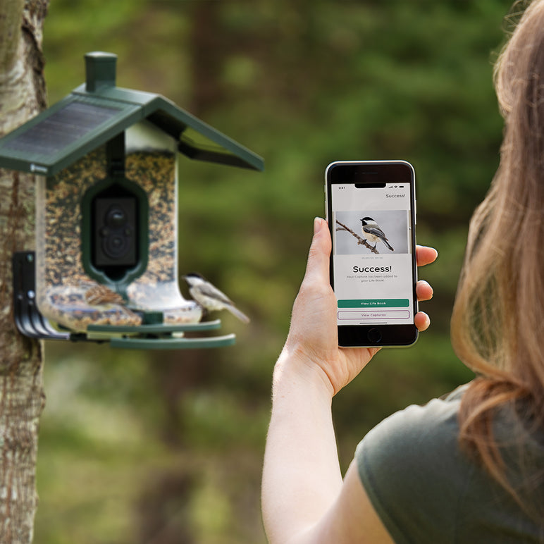 FeatherSnap Scout-WiFi Solar Power Bird Feeder