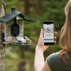 FeatherSnap Scout-WiFi Solar Power Bird Feeder