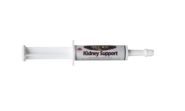 EQ Kidney Support - Box
