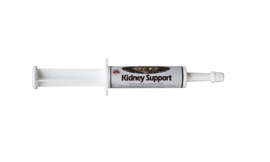 EQ Kidney Support - Box