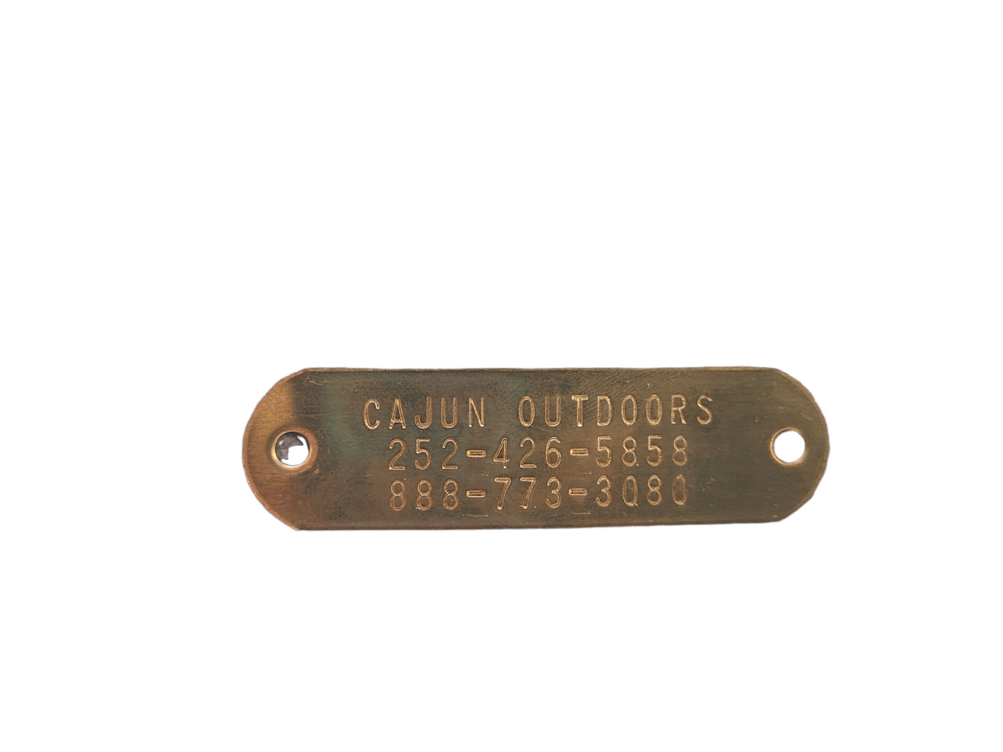 3/4'' Dayglo Reflective  Collar