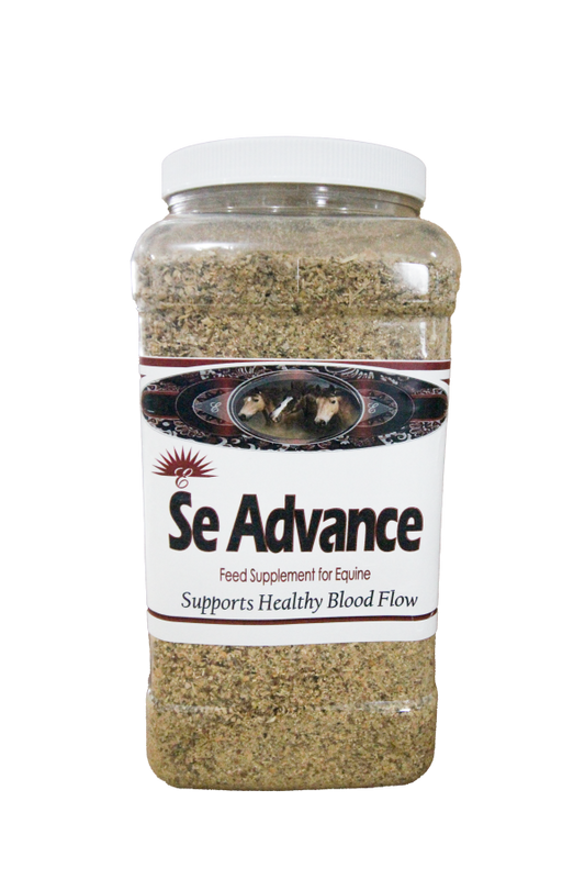 SE Advance