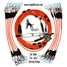 Load image into Gallery viewer, DOG SAFETY TRAVEL TIE-OUTS - dogs R treed
