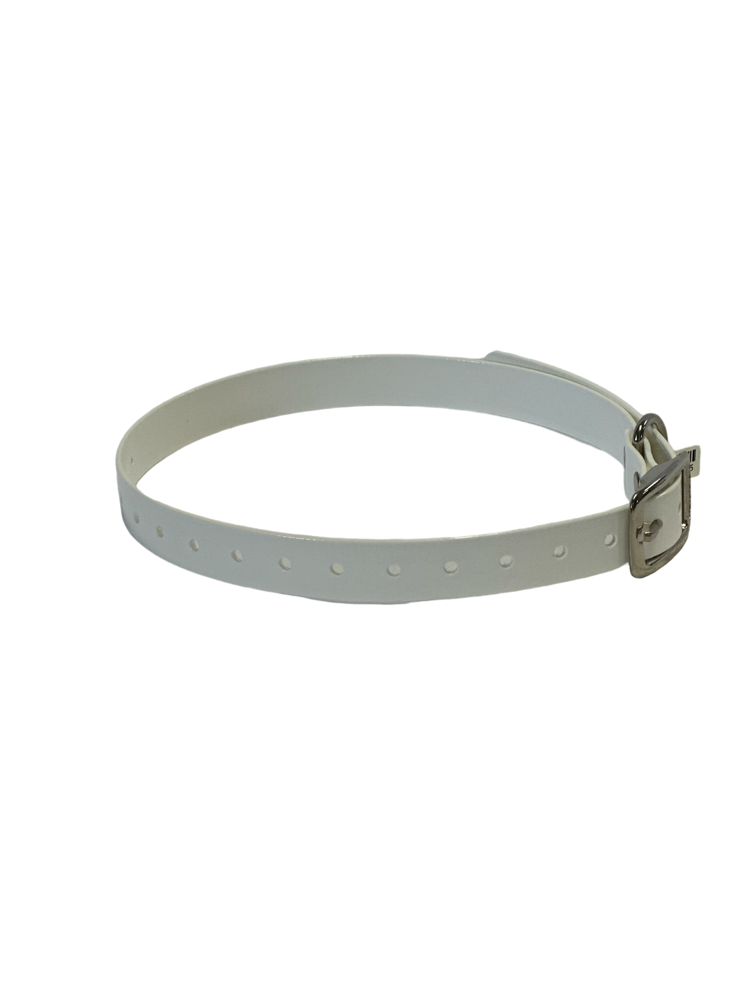 3/4" Dayglo Collar