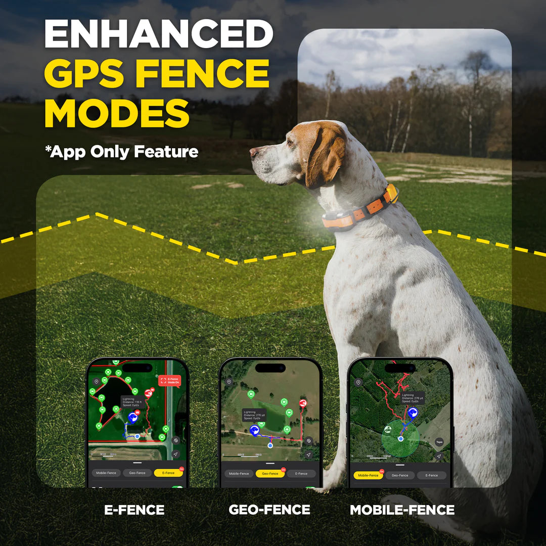 Dogtra Pathfinder2 Mini Compass