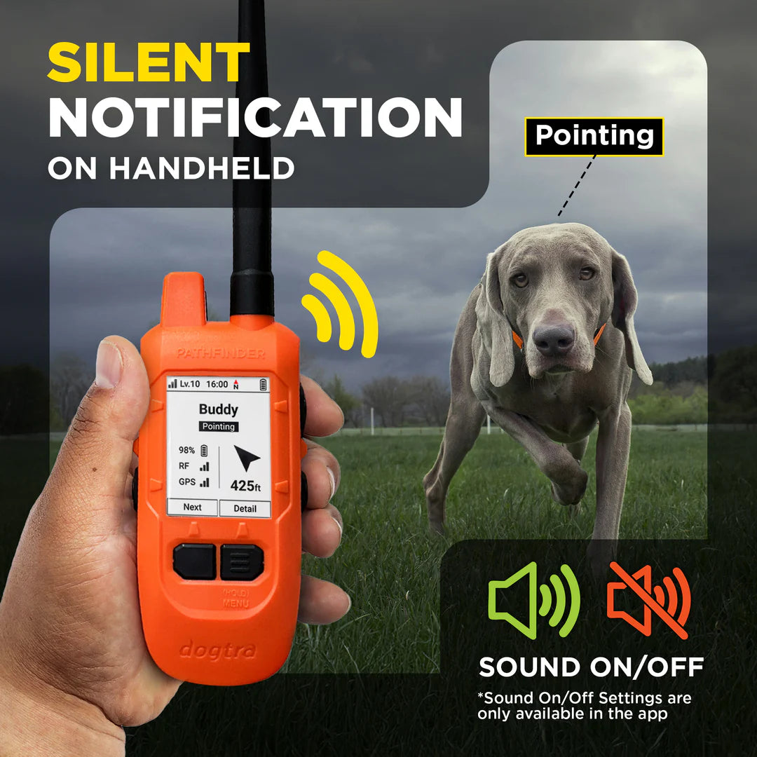 Dogtra Pathfinder2 Mini Compass