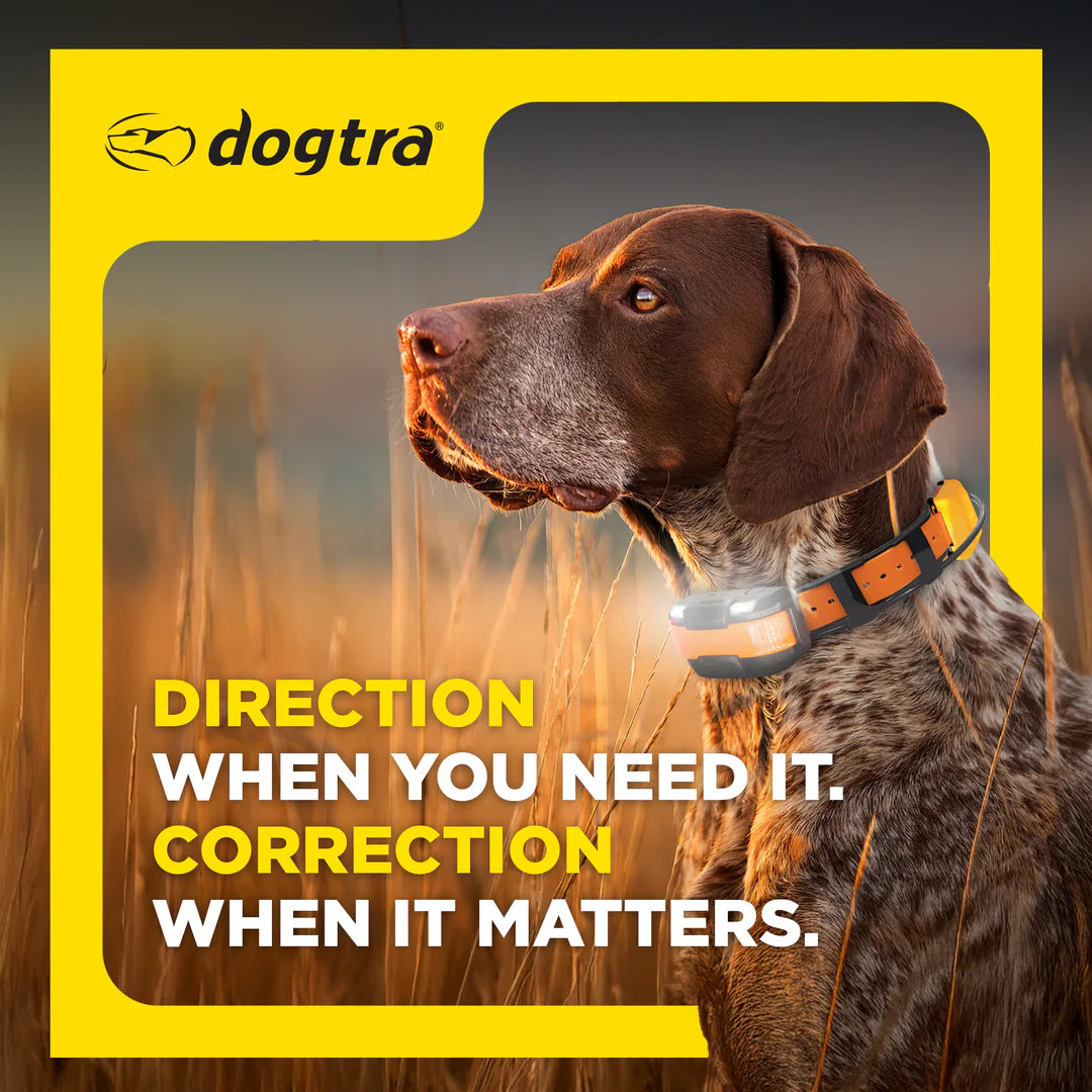 Dogtra Pathfinder2 Mini Compass