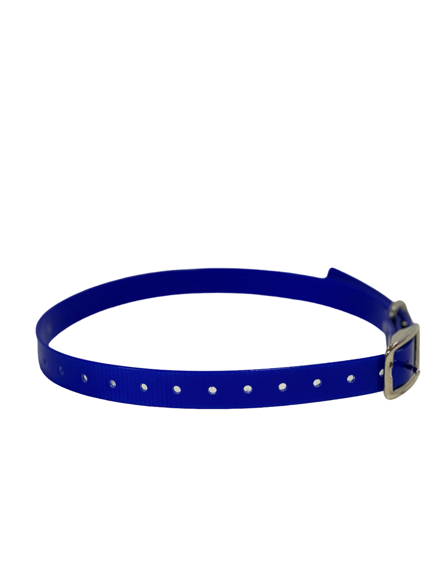 1'' DayGlo Collar