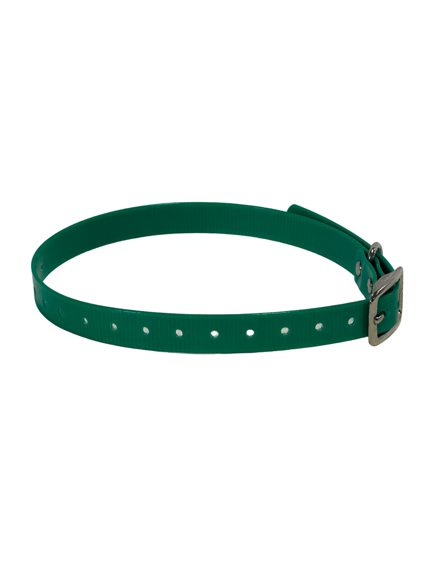 1'' DayGlo Collar