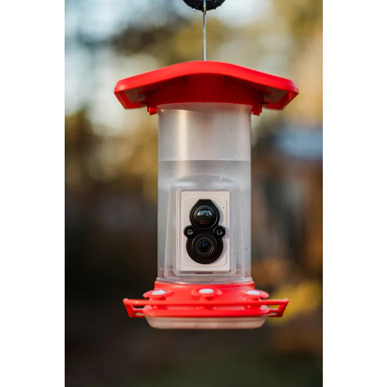 Smart Hummingbird Feeder