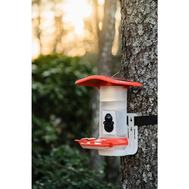 Smart Hummingbird Feeder