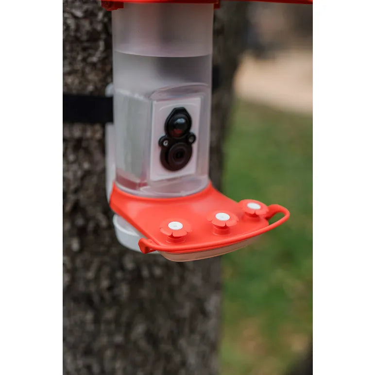 Smart Hummingbird Feeder