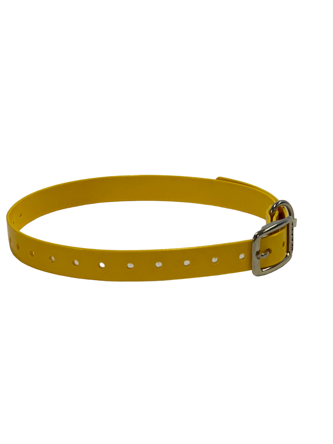 1'' DayGlo Collar