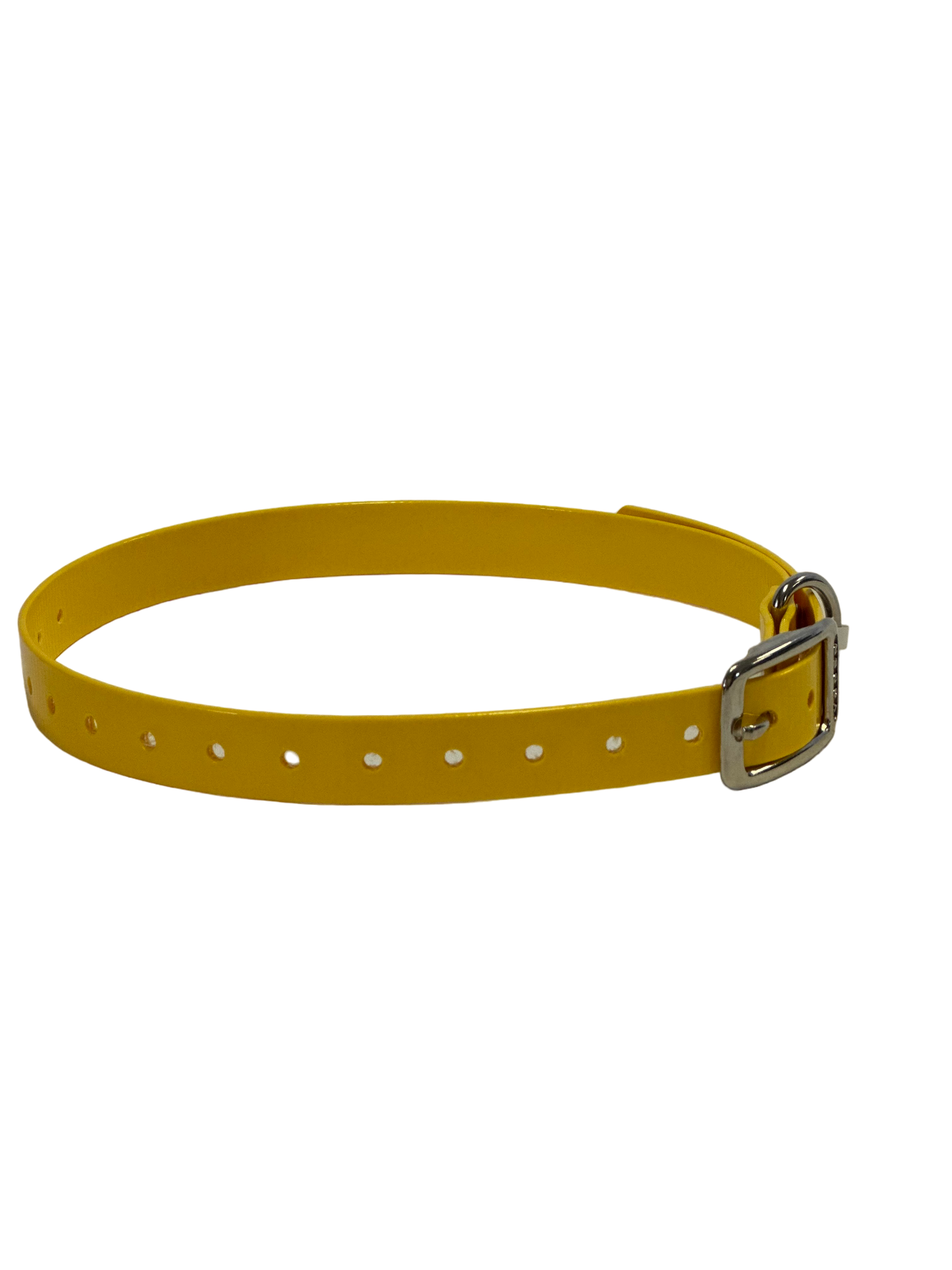 3/4" Dayglo Collar