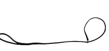 Leather Choker Show Lead 3'