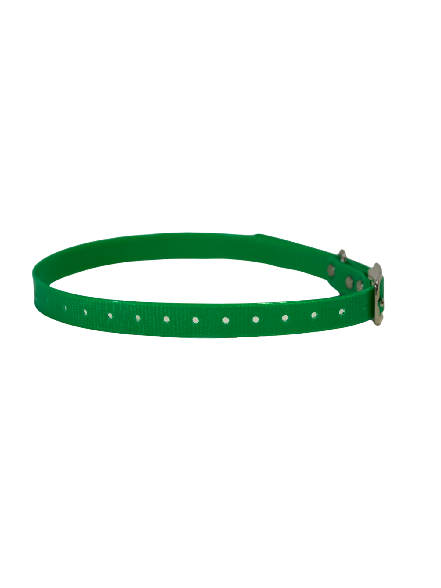 3/4" Dayglo Collar